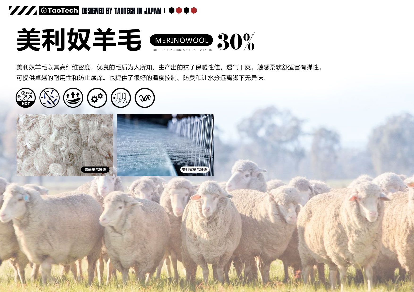 TaoTech21-22图册中文版_页面_23.jpg