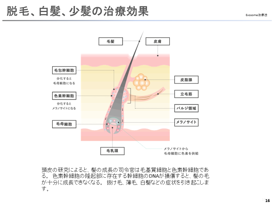 幻灯片17.PNG
