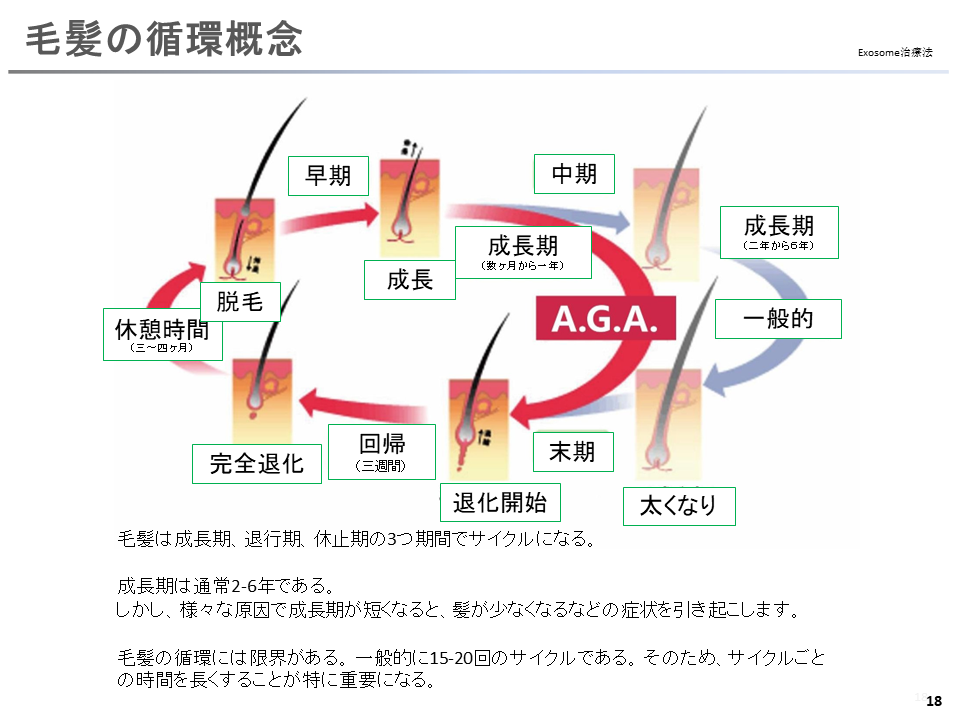 幻灯片19.PNG