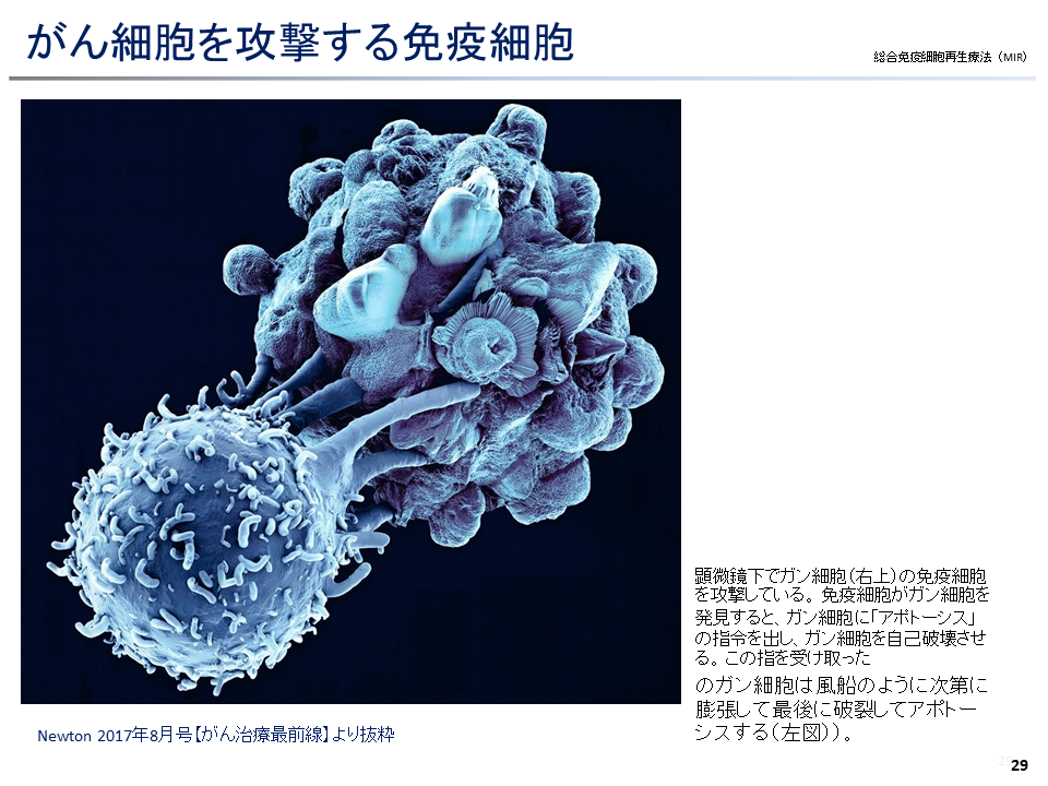 幻灯片30.PNG