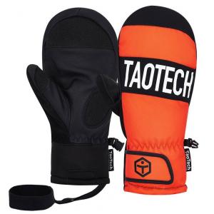 TaoTechスキーグローブ（カラー）